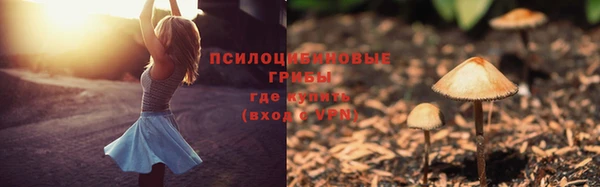 дживик Михайловка