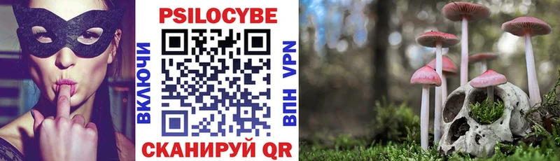 Псилоцибиновые грибы MAGIC MUSHROOMS  купить  сайты  Мирный 