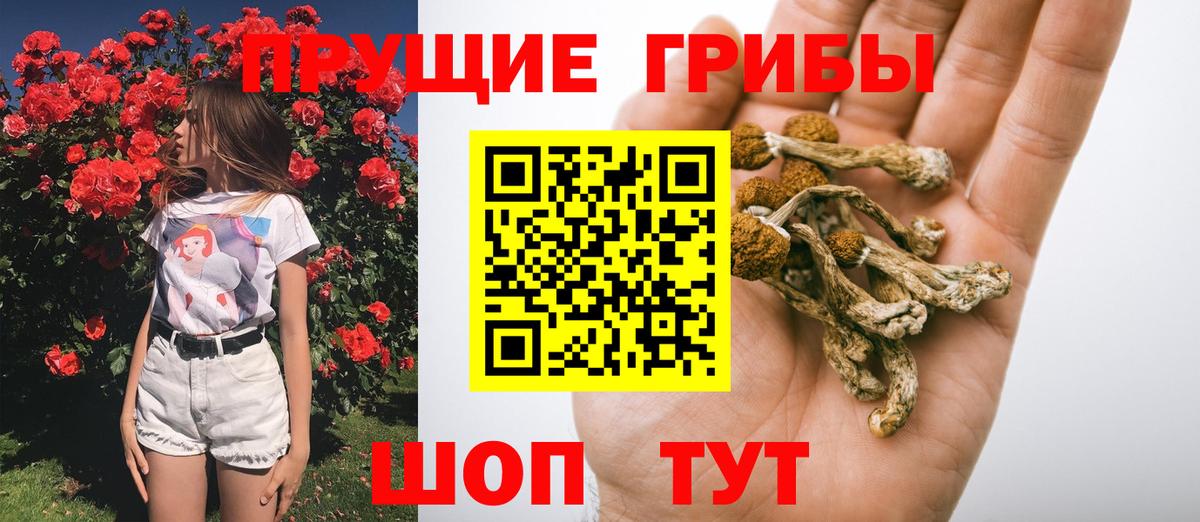 Мирный  Псилоцибиновые грибы MAGIC MUSHROOMS  Вход с VPN 