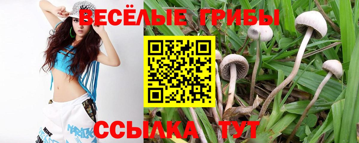 Псилоцибиновые грибы Psilocybine cubensis Мирный